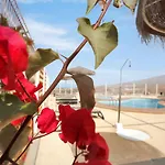 The Penthouse, Fabulous Sunset, Heated Pool, Fiber Lägenhet Costa Adeje (Tenerife)