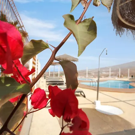 The Penthouse, Fabulous Sunset, Heated Pool, Fiber Lägenhet Costa Adeje (Tenerife)